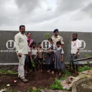 Tree plantation